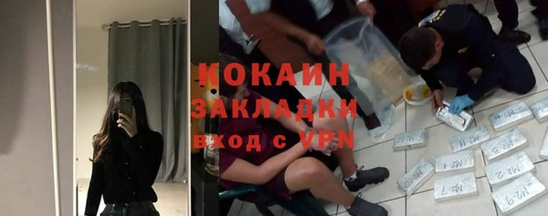 трава Белокуриха