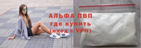 трава Белокуриха