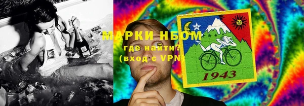 трава Белокуриха