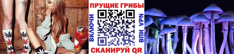Галлюциногенные грибы прущие грибы Железногорск-Илимский
